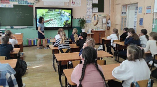Эхо Чернобыльской трагедии